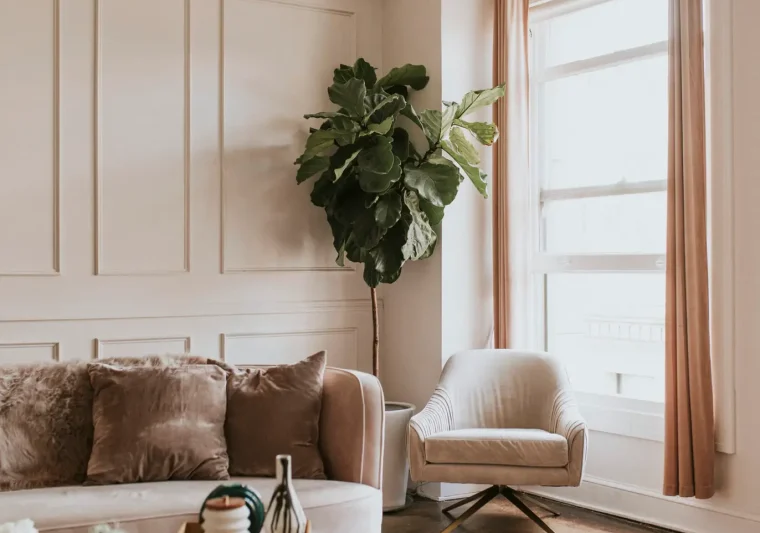 A modern living room style
