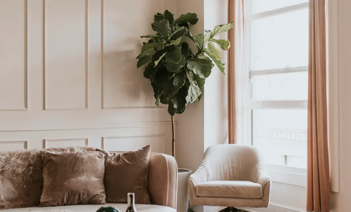 A modern living room style