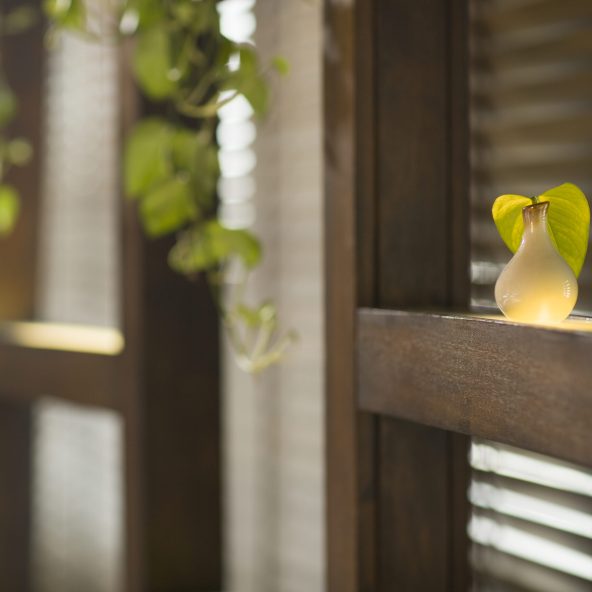 soft-light-on-vase-with-leaf-decor-2026-03-09-21-45-52-utc